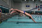 Swimming vs Babson  Wheaton College Swimming vs Babson College. - Photo By: KEITH NORDSTROM : Wheaton, Swimming, Babson